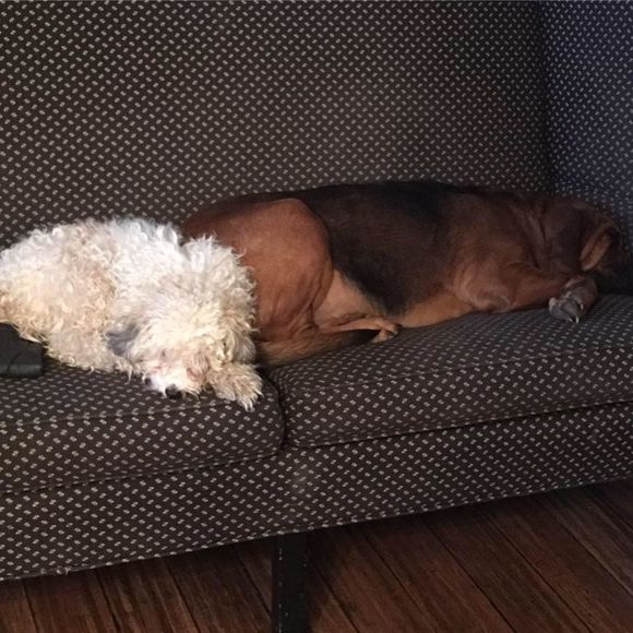 Meet your Posher, Mary - Picture 1 of 1